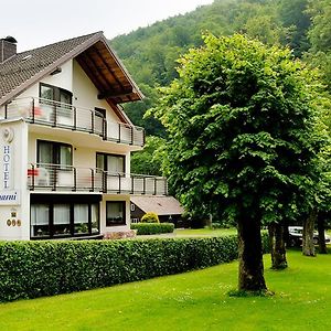 Harz hotel Iris